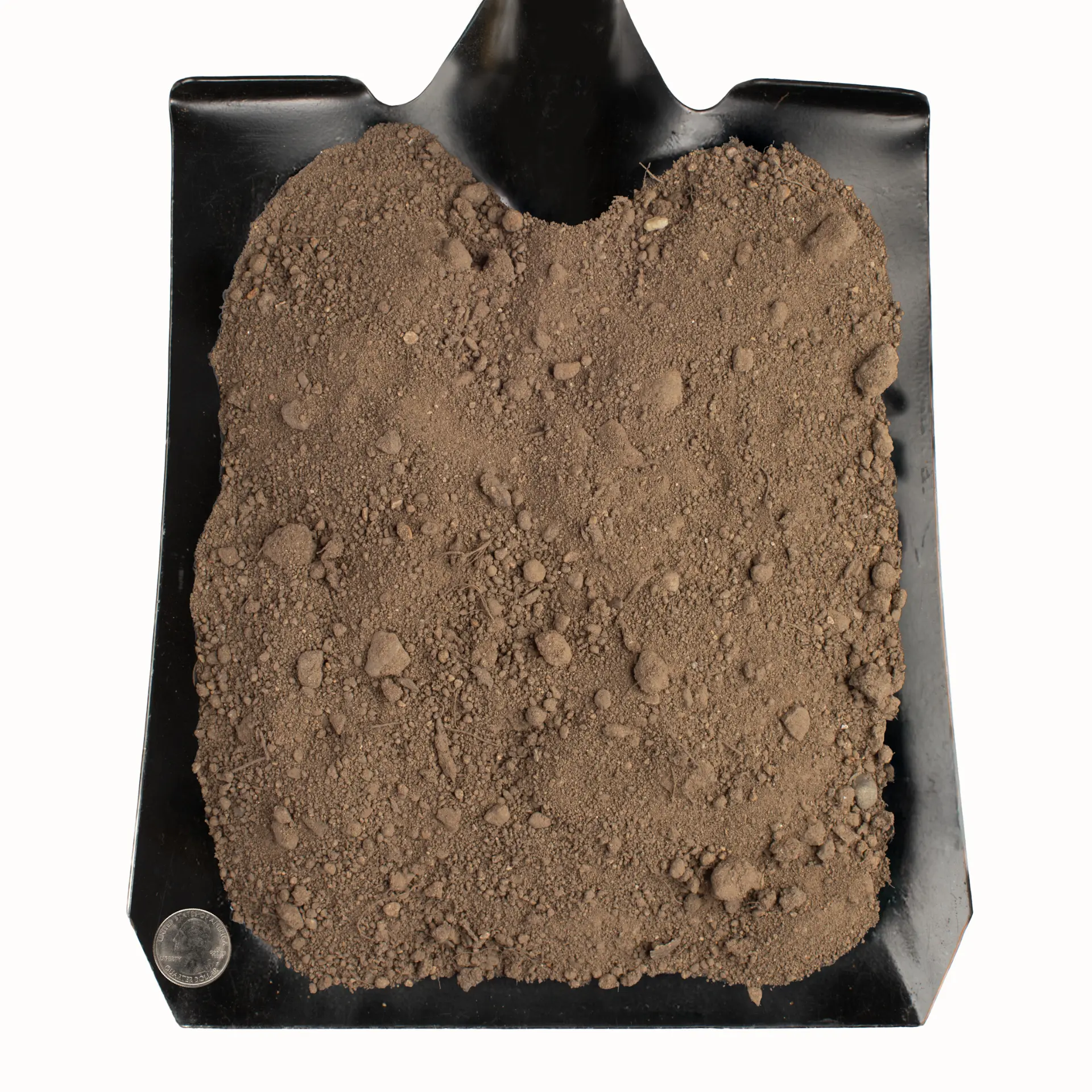 Screened Loam